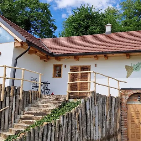 Сasa de vacaciones Izba